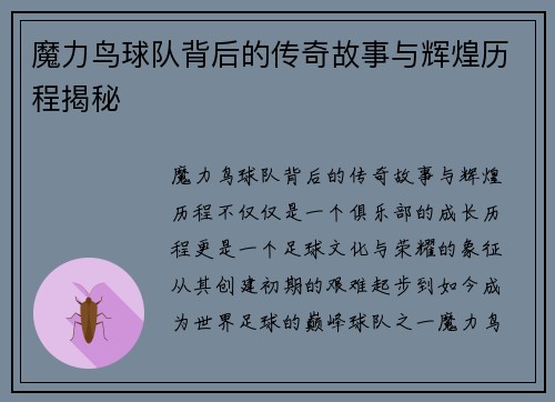 魔力鸟球队背后的传奇故事与辉煌历程揭秘
