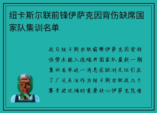 纽卡斯尔联前锋伊萨克因背伤缺席国家队集训名单 纽卡斯尔联前锋伊萨克因背伤缺席国家队集训名单